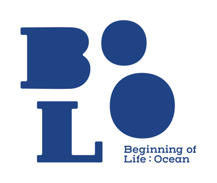 BoLO  / shop logo